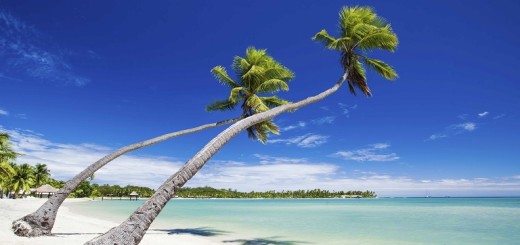 Fiji, palme sulla spiaggia